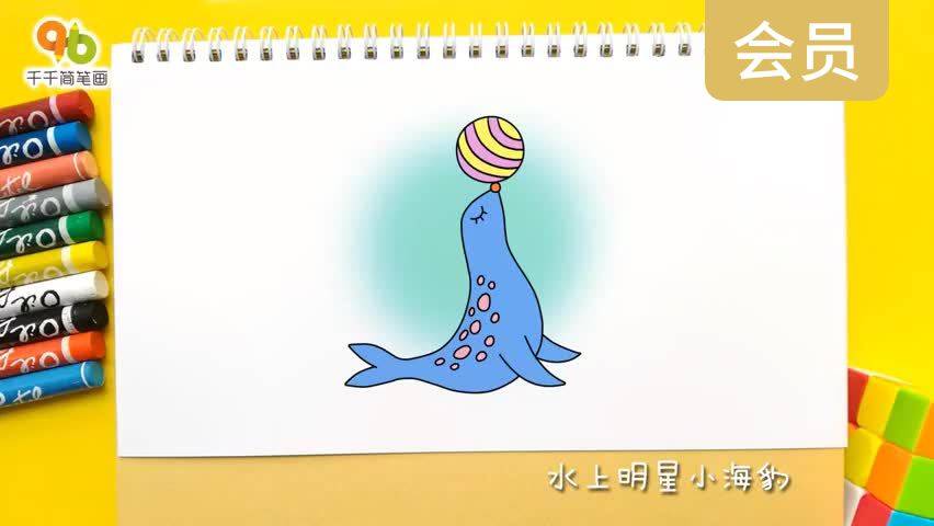 水上明星小海豹