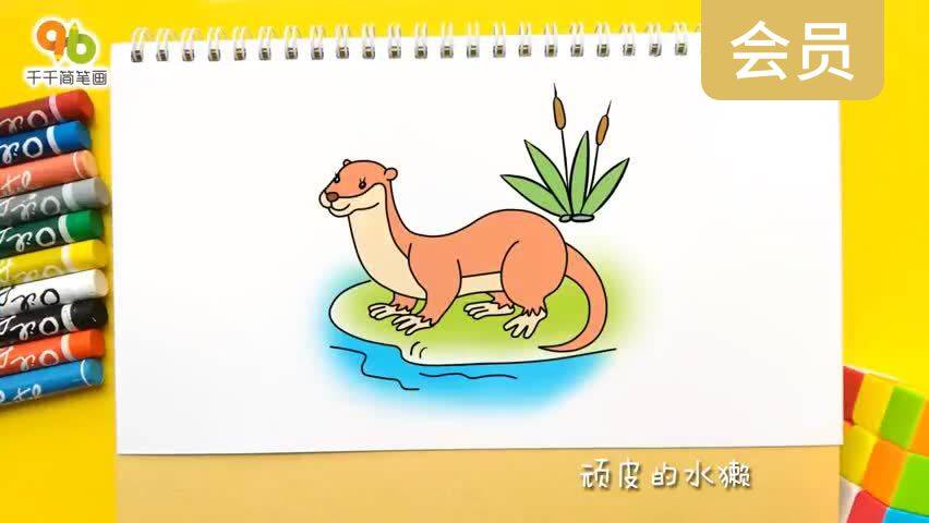 顽皮的水獭