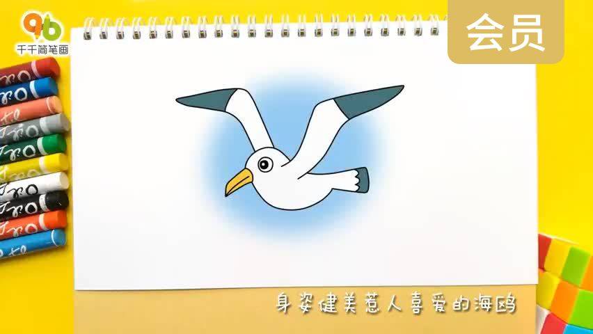 身姿健美惹人喜爱的海鸥