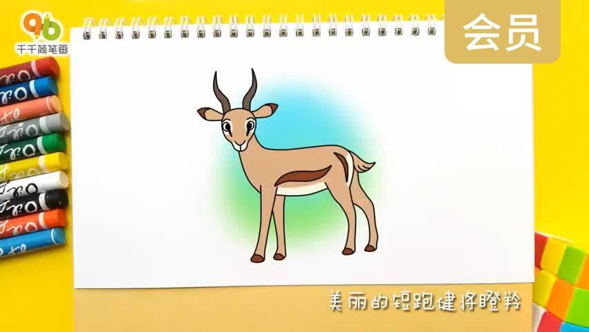 美丽的短跑健将瞪羚