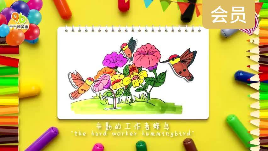 辛勤的工作者蜂鸟