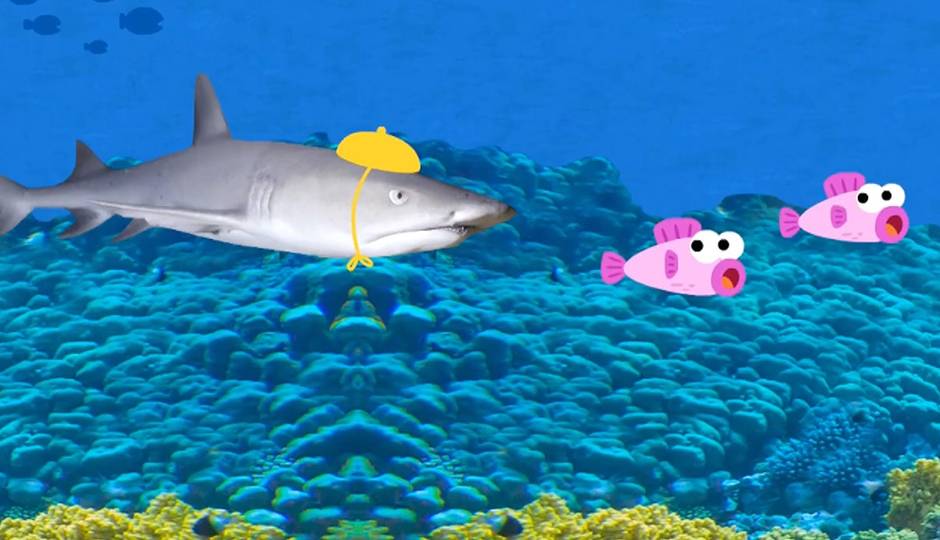 Baby Shark (Real Image)