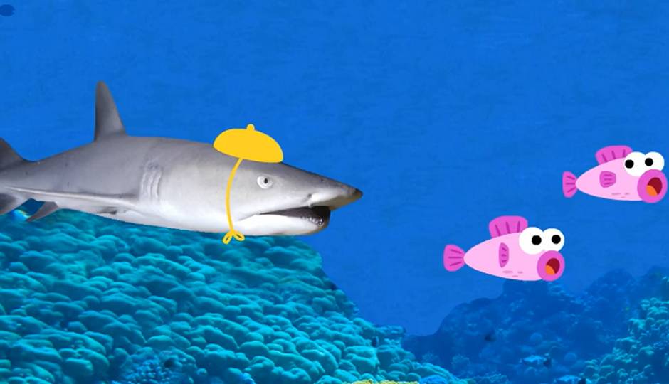 鲨鱼一家鲨鱼实像图版