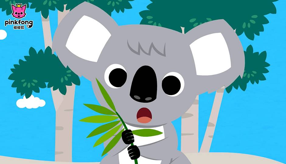 Koala