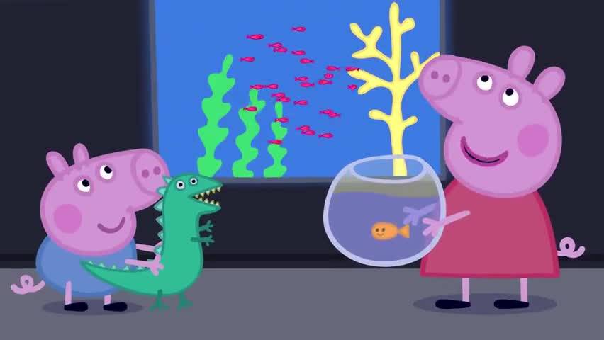 海洋馆