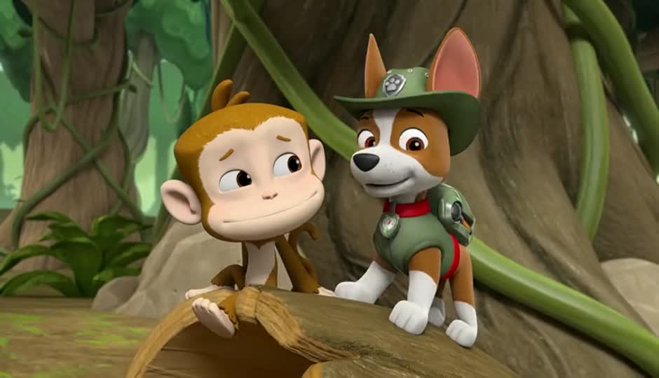 神秘的大脚掌/狗狗拯救韩动车