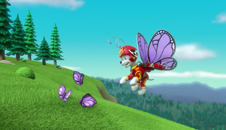 迷路的蝴蝶/狗狗拯救地下鸡