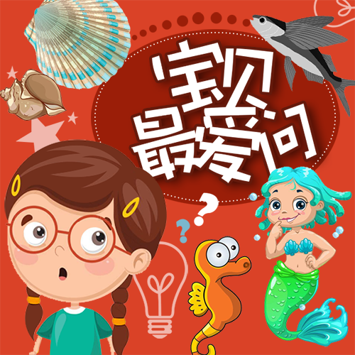 宝贝最爱问