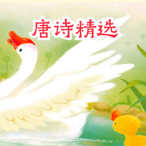 唐诗精选