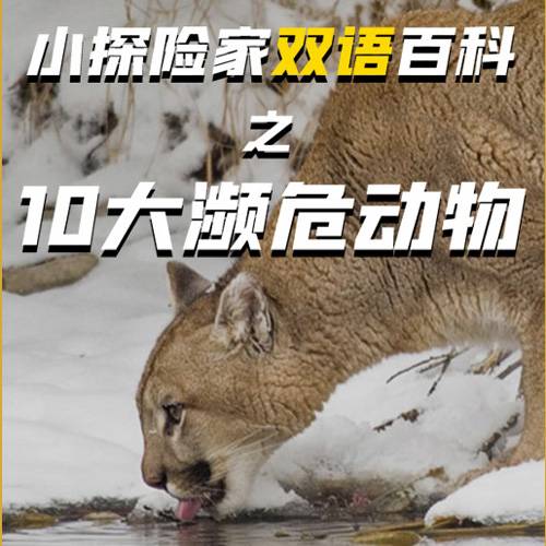 小探险家双语百科之10大濒危动物
