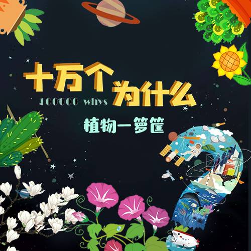 十万个为什么之植物一箩筐