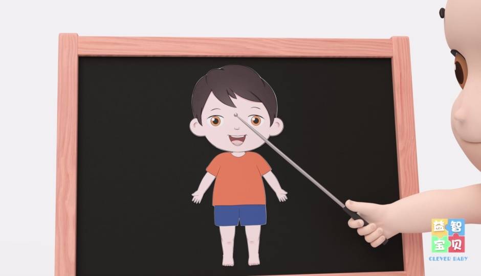 身体部位
