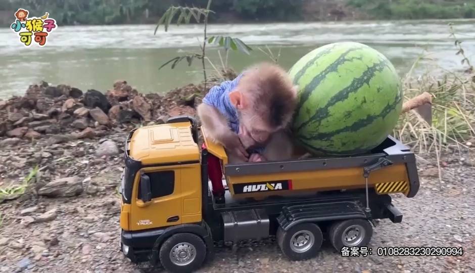 可可清理路障