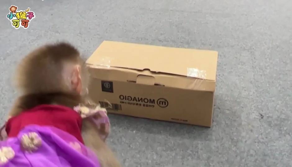 可可的快递