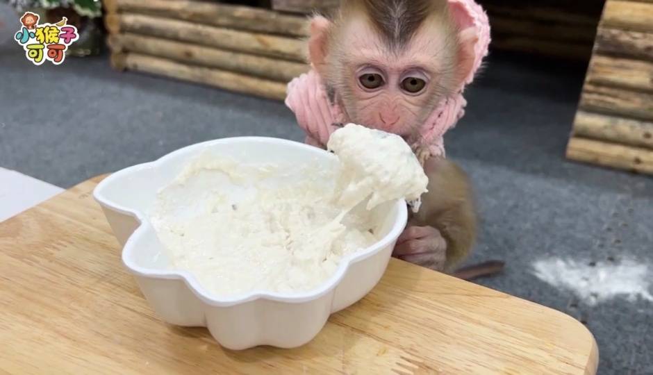 可可揉面团