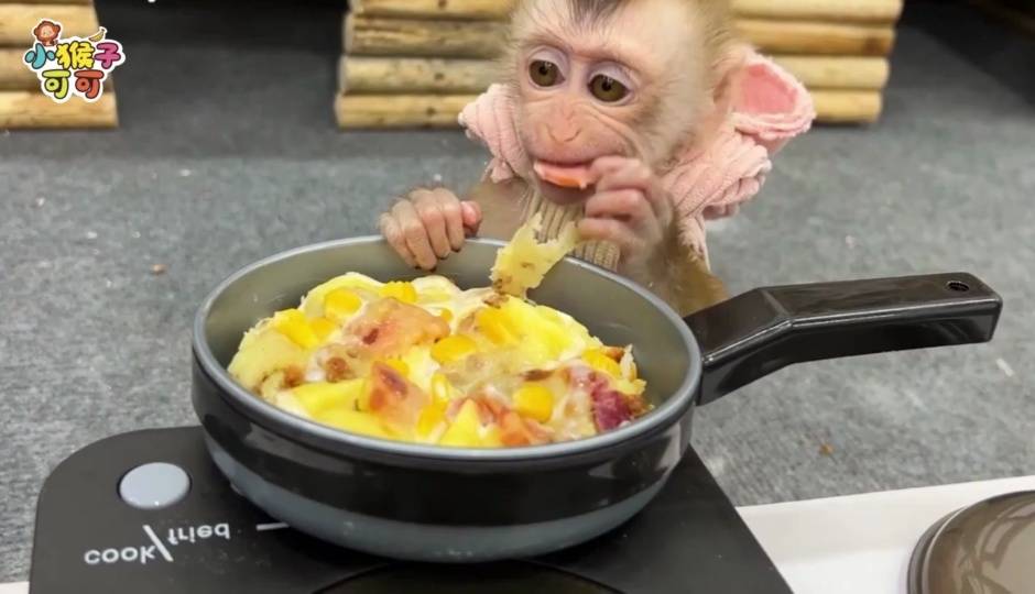 可可吃披萨