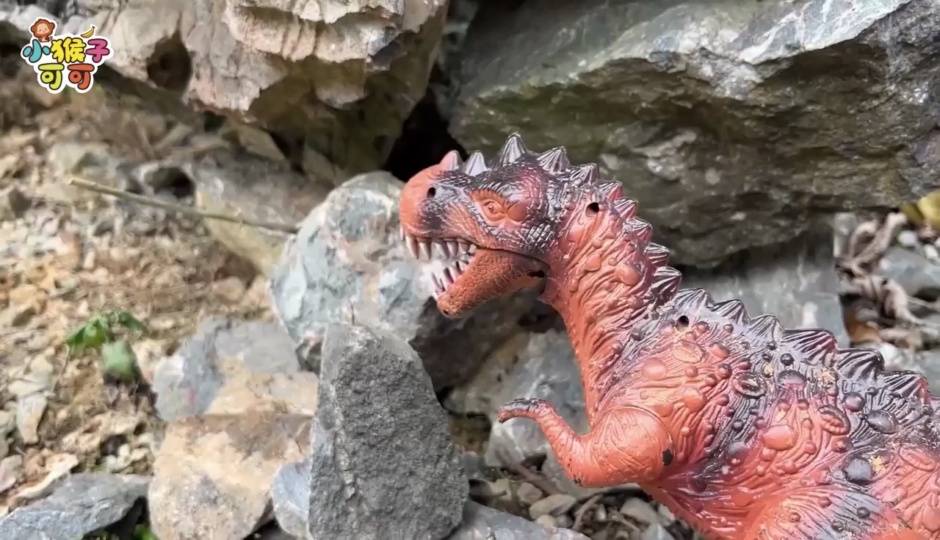 可可吃大餐