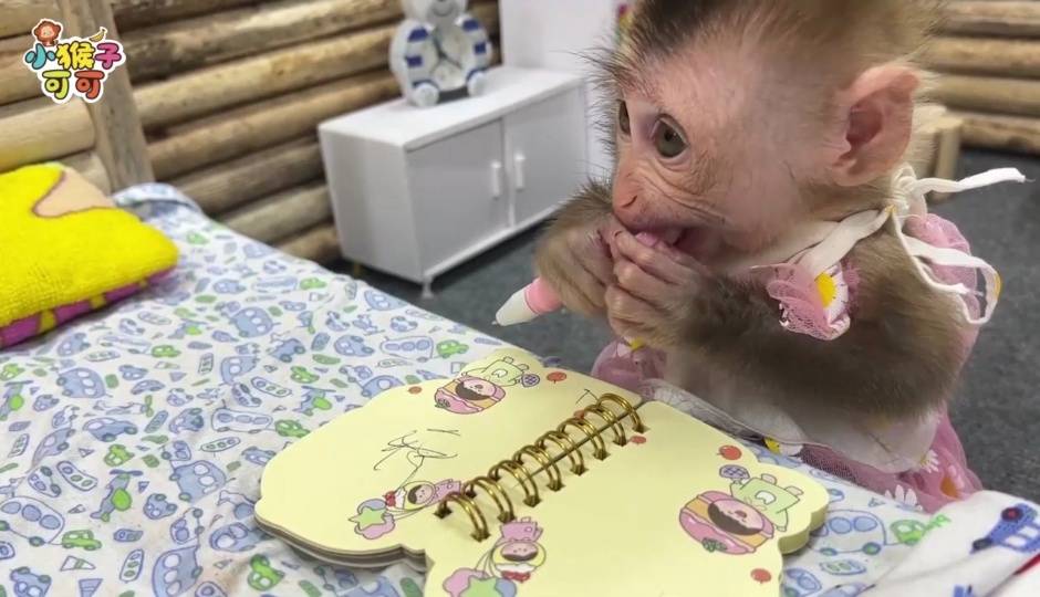 可可喝牛奶