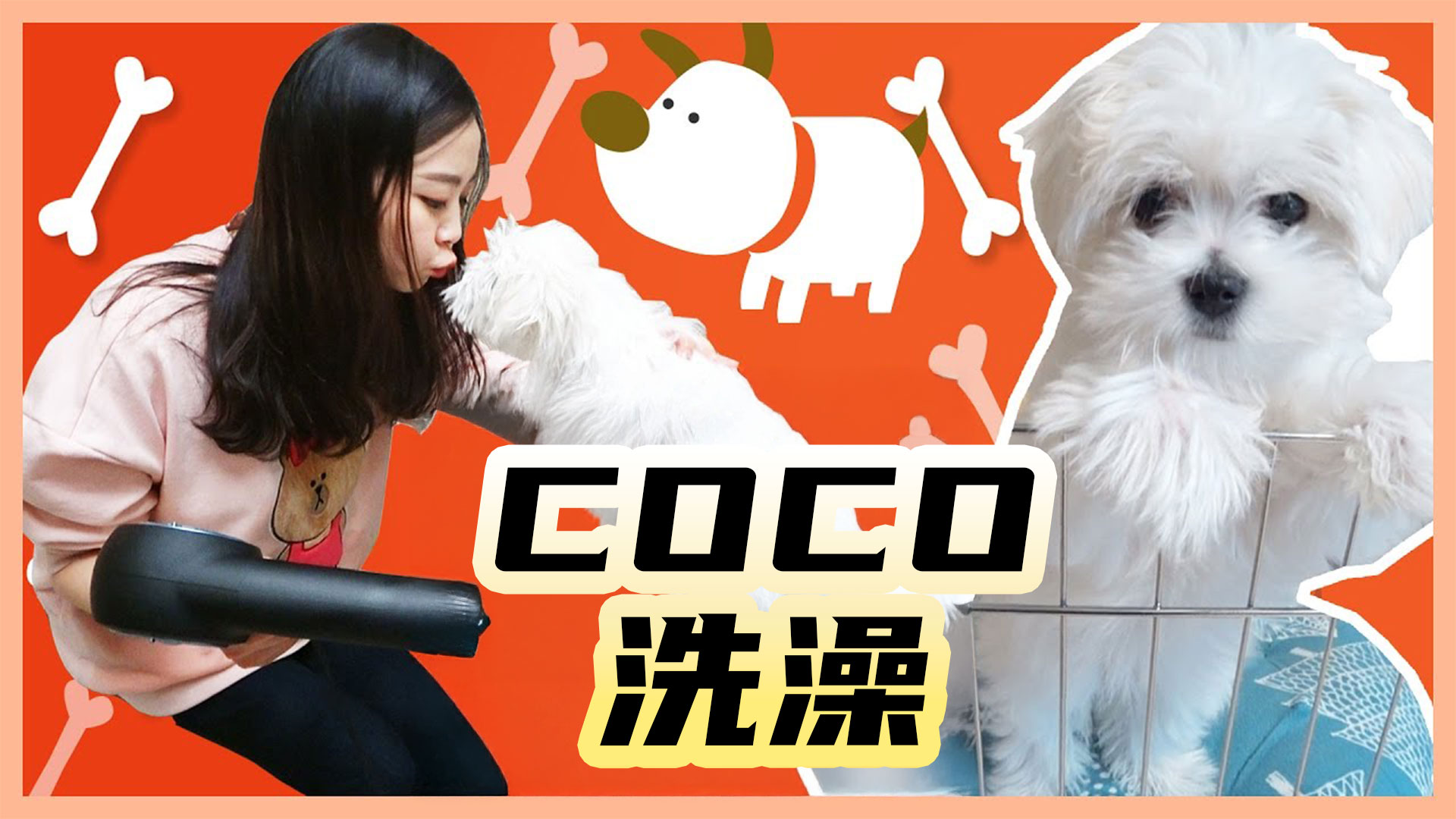 小伶的家首次公开，一起来给COCO洗澡吧！
