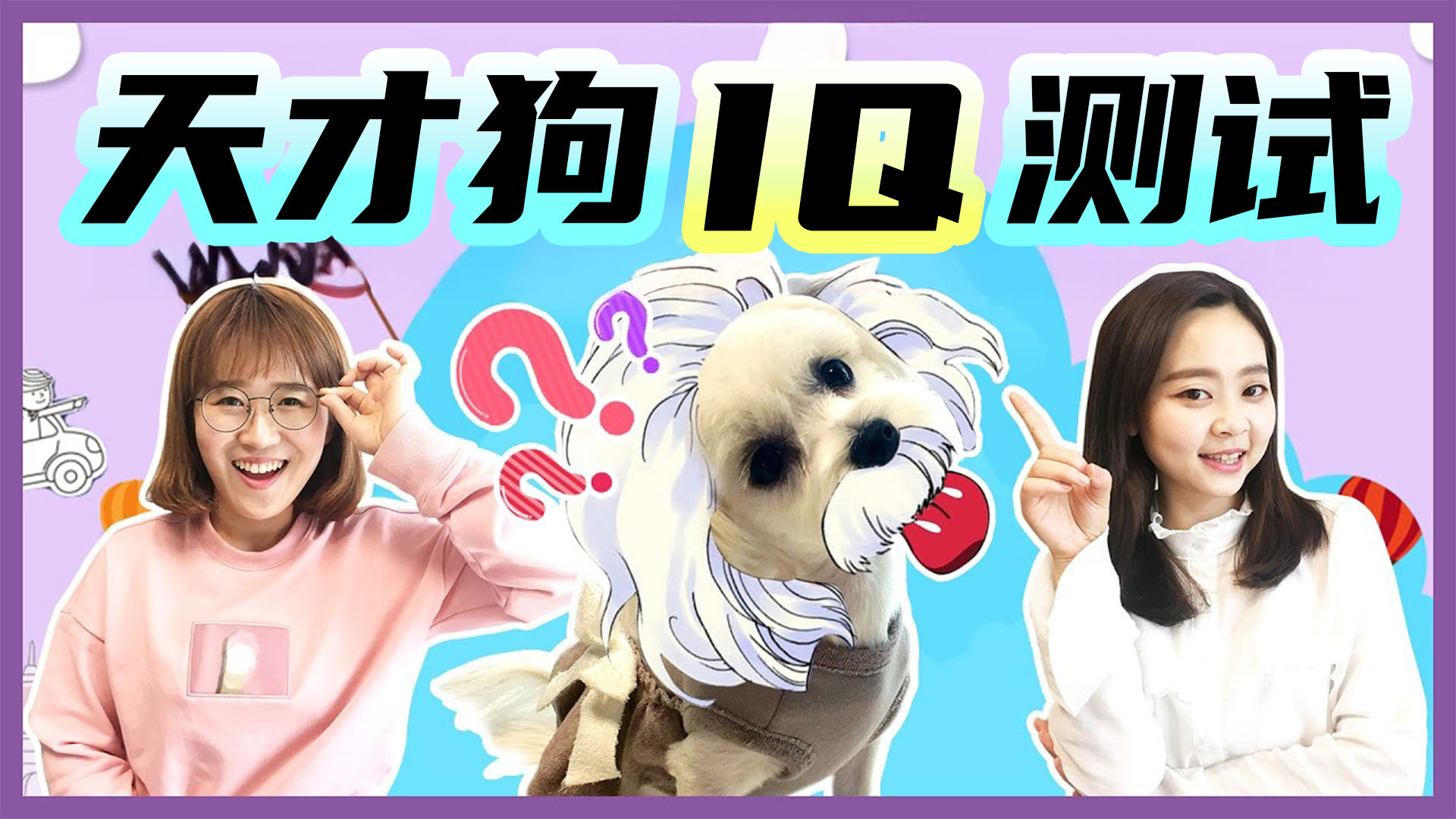聪明狗狗大挑战！一起来给coco测智商