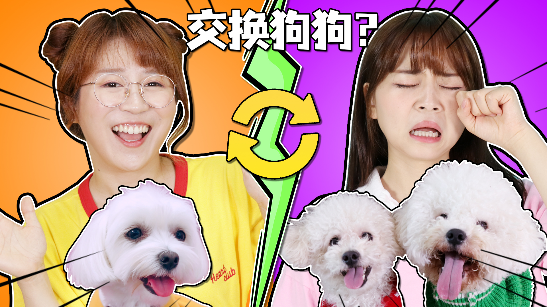 小伶和夏天的交换狗狗大挑战，会发生什么？