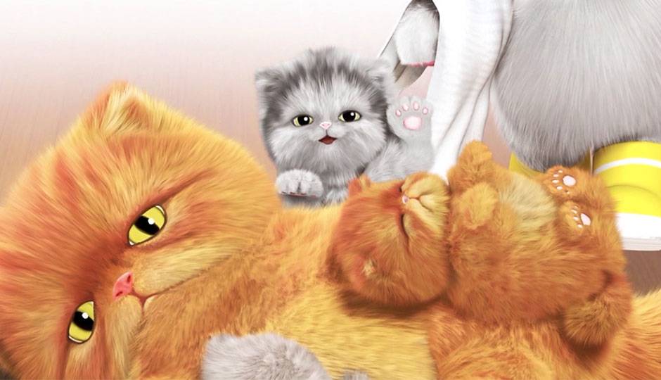 三只生病的小猫