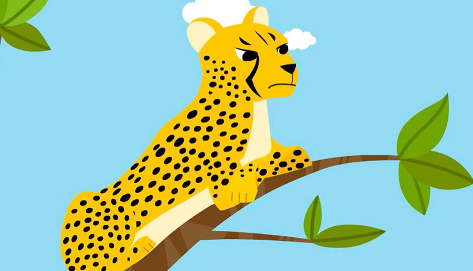 Cheetah