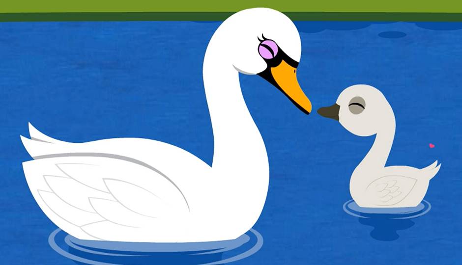 Swan