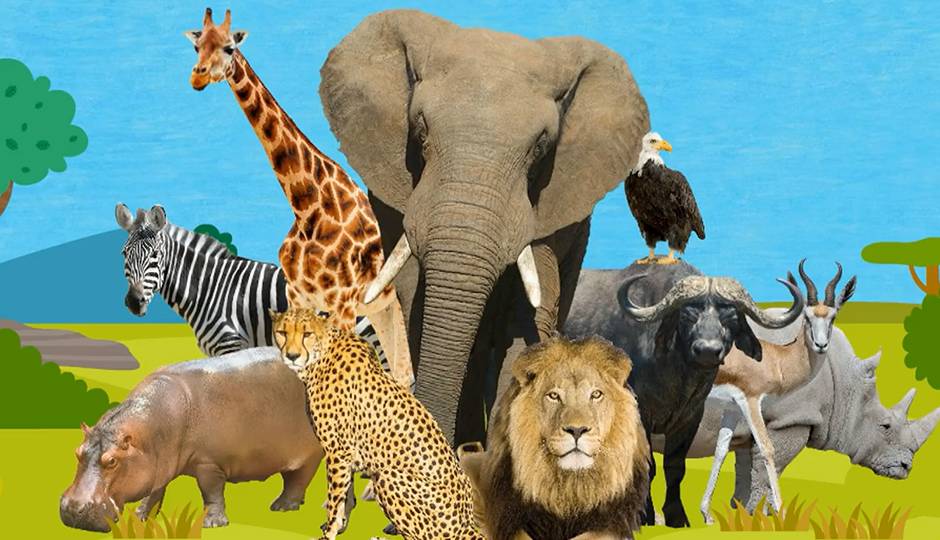 This Is the Savanna