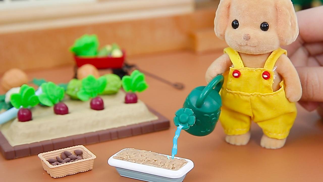 生日礼物在哪里