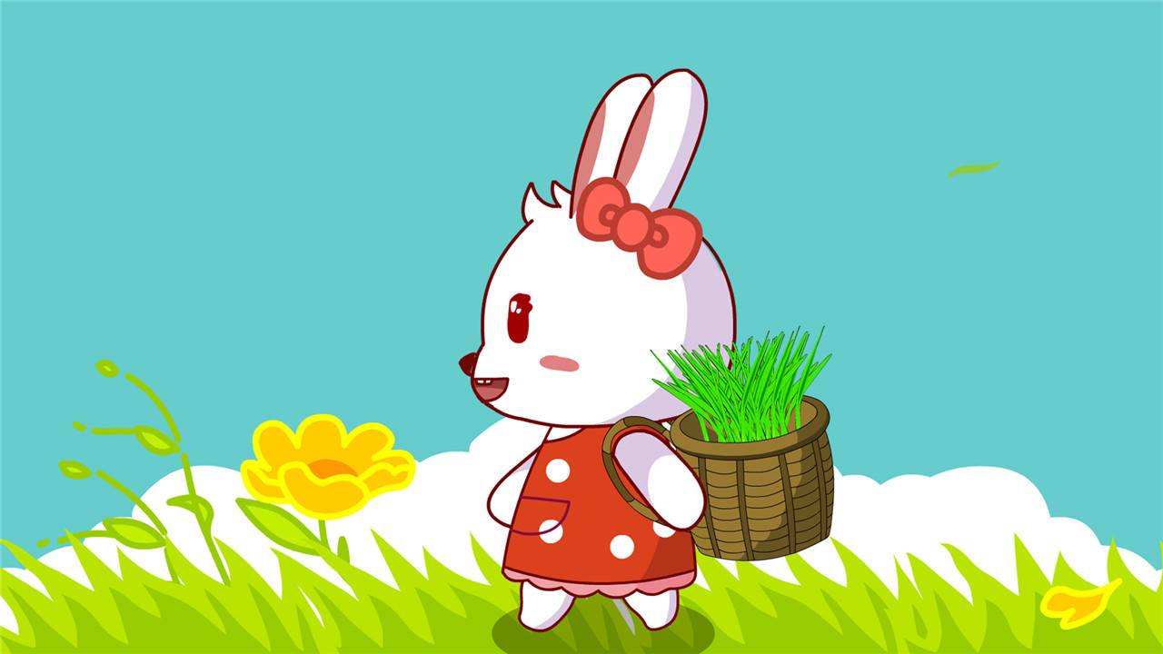 兰花草