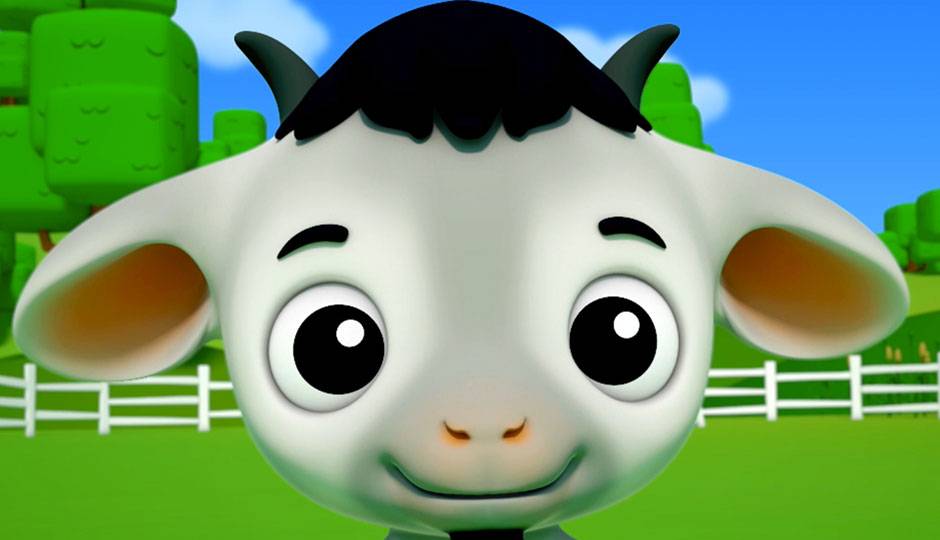 小山羊 Baby Goat