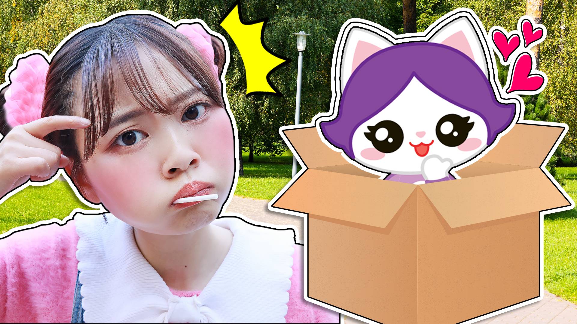 【守护精灵】猜猜看箱子里的流浪猫是谁？