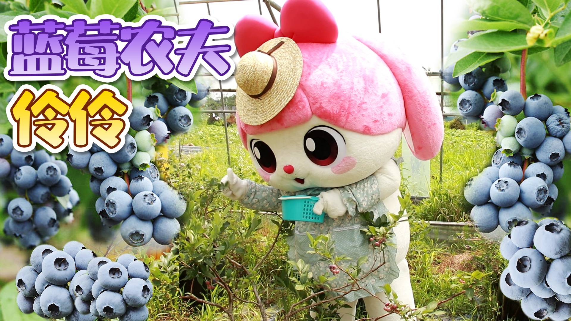 伶伶的蓝莓农场之旅！农夫伶伶挑战制作蓝莓酱？