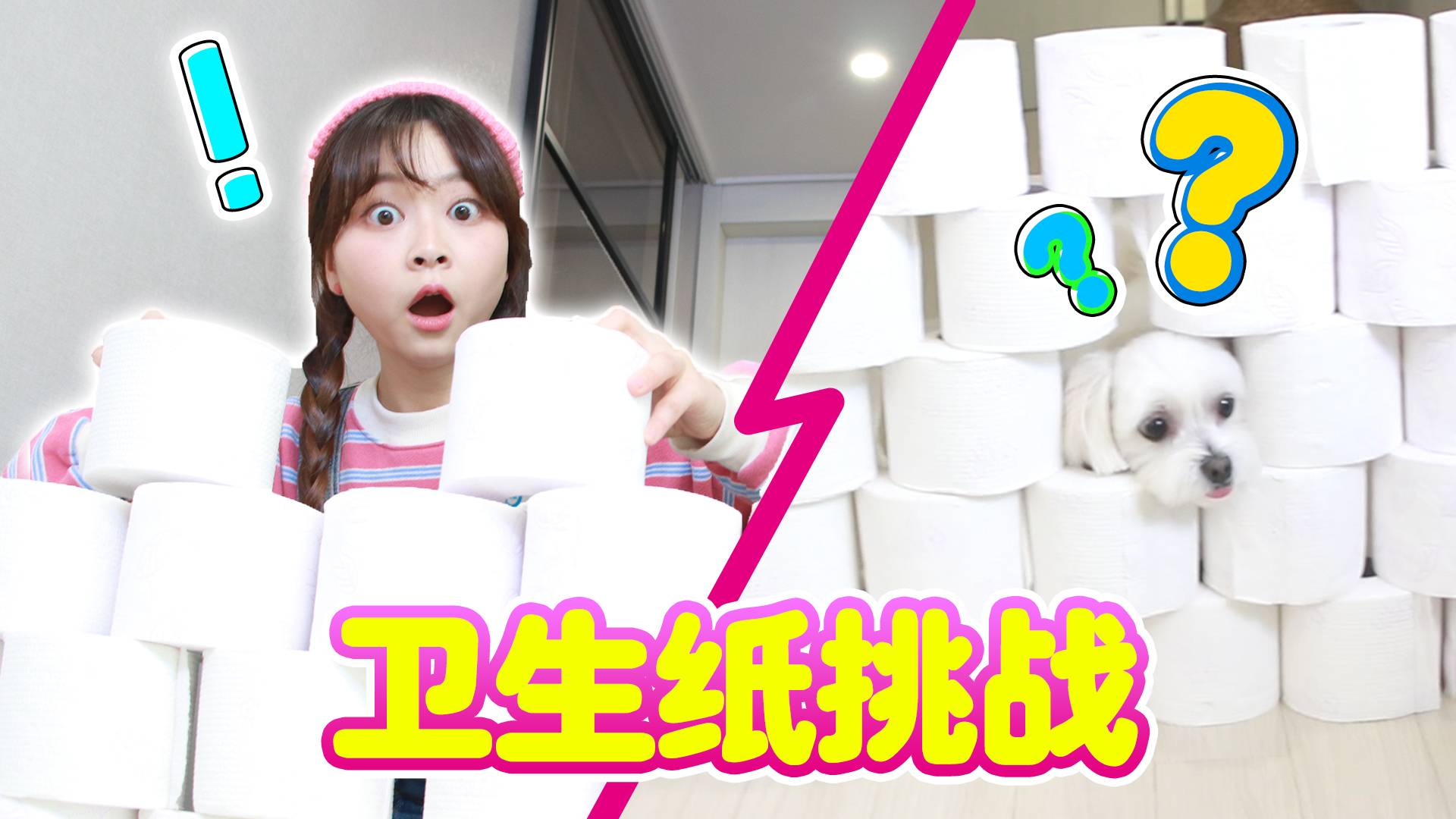 【萌宠日记】 coco的跳跃能力测试！它能成功穿越卷纸墙吗？