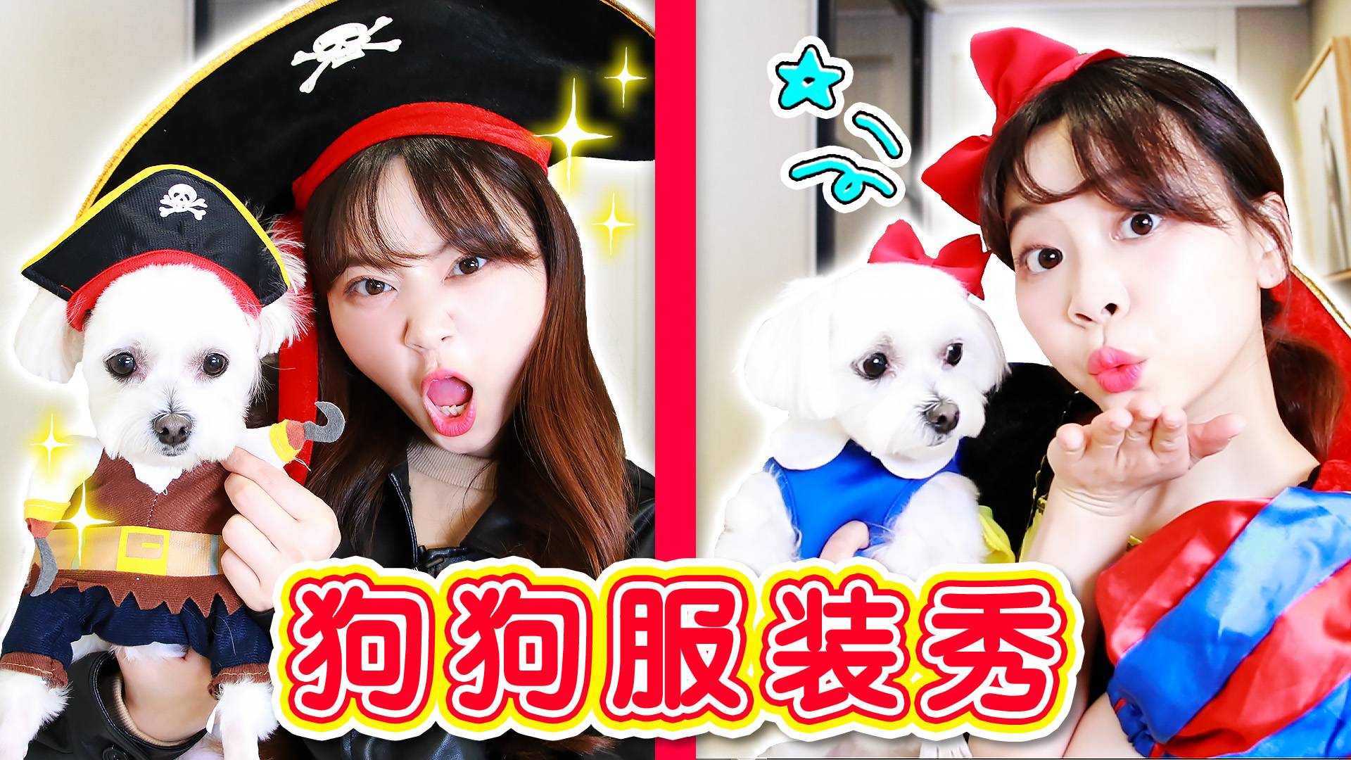 【萌宠日记】coco和小伶的奇奇怪怪个性时尚秀开幕啦！