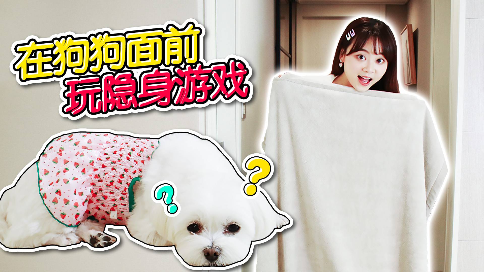 【萌宠日记】小伶在coco面前突然消失！它的反应是？