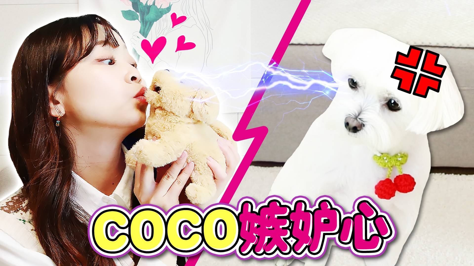 【萌宠日记】小伶有了新的狗狗？测试coco的嫉妒心有多强！