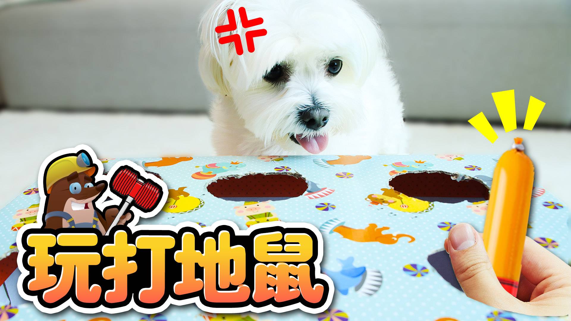 【萌宠日记】打地鼠零食游戏逗coco！coco会生气吗？