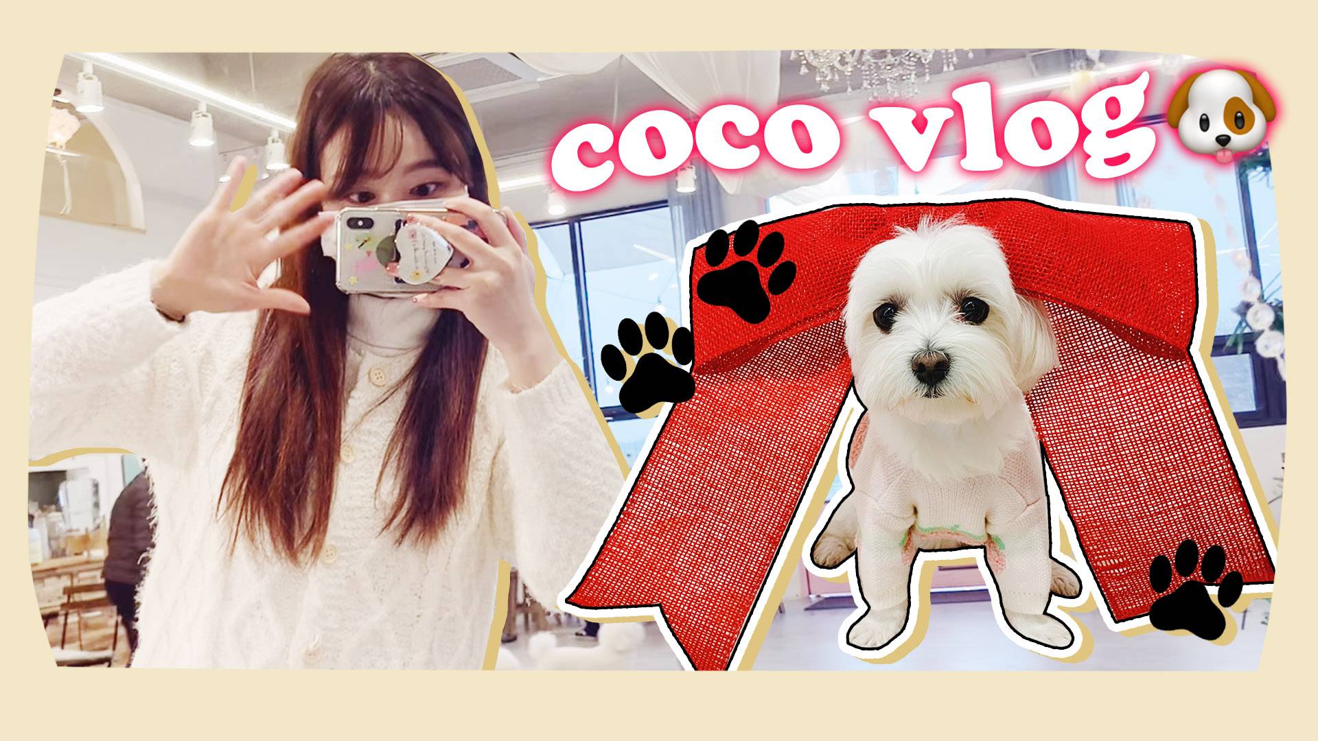 【日常分享】小伶和coco的狗狗咖啡厅VLOG