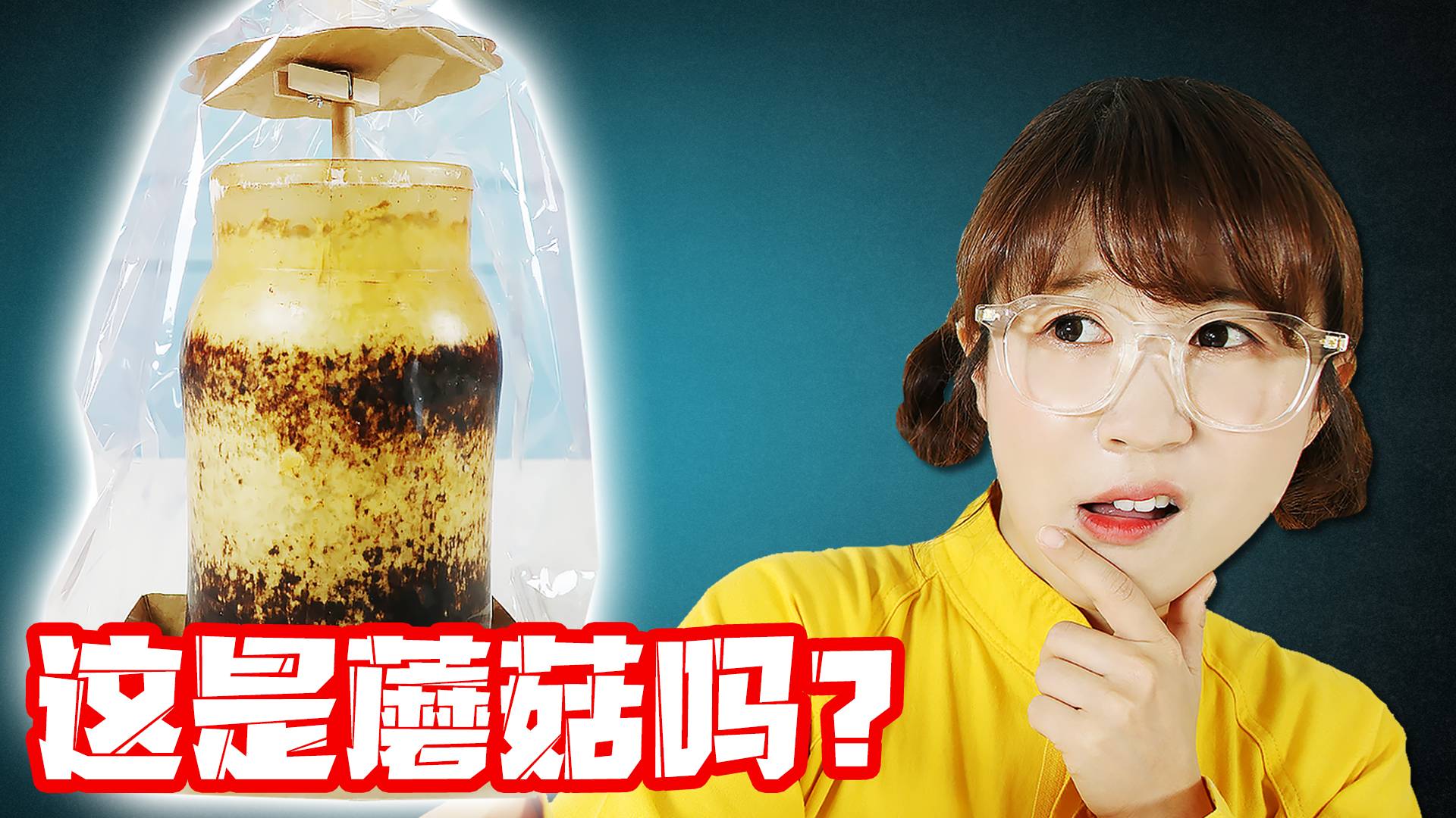 【自然观察】这个奇怪的生物到底是啥？夏天养蘑菇第一弹！