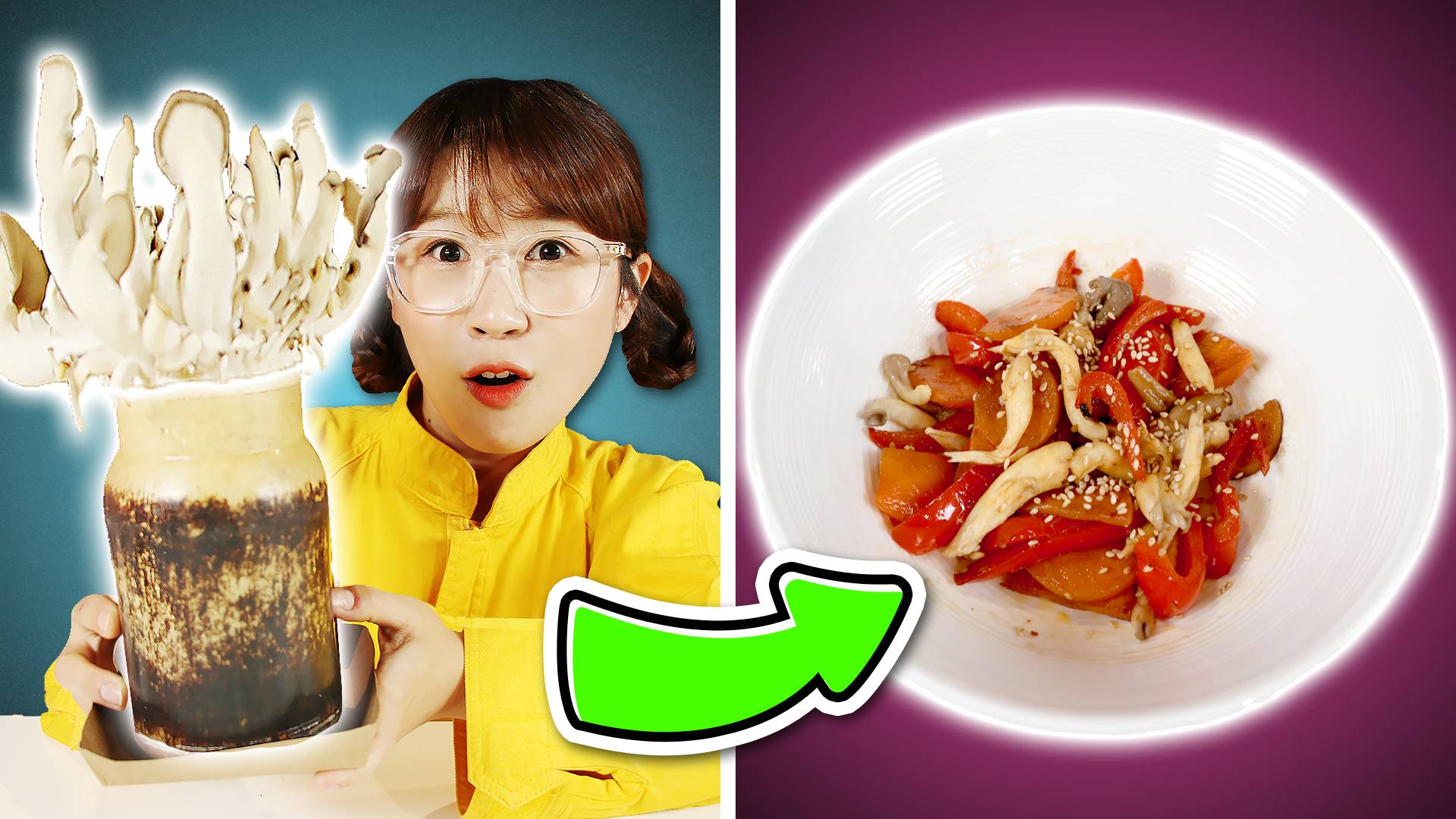 【自然观察】夏天养蘑菇第二弹！它真的长出来了吗？