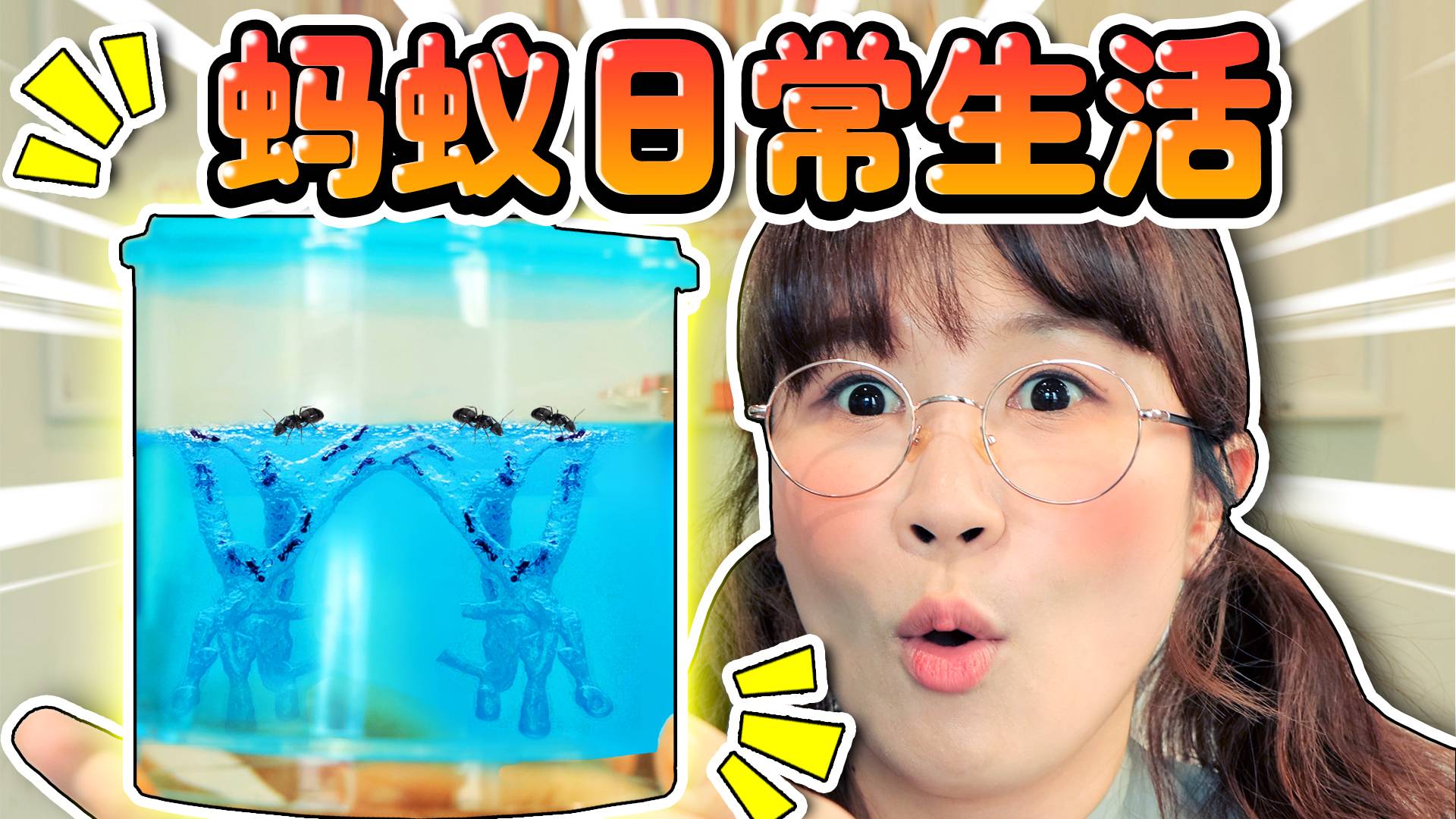 观察实验套盒开箱！夏天揭秘蚂蚁的隧道挖掘过程