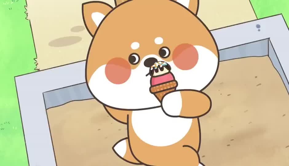 老师的较量
