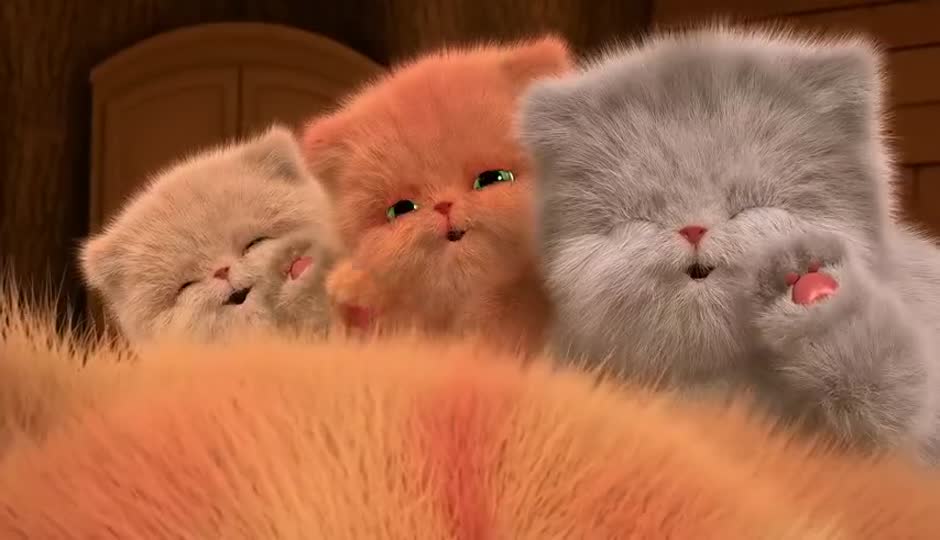 馋嘴猫