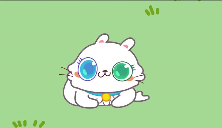 数猫咪