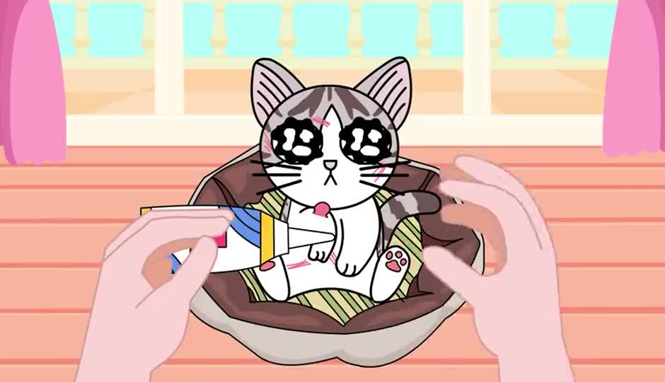 照顾受伤的小猫