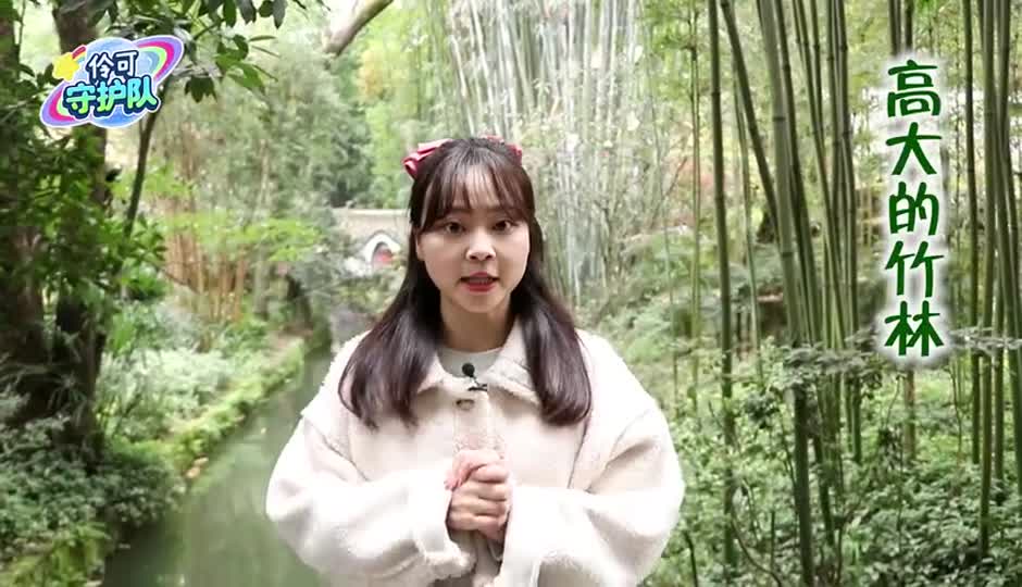 小伶空降杜甫草堂，身临其境感受古诗词的魅力