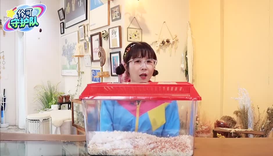夏天DIY仓鼠温馨小屋，仓仙贝到底跟宝宝说了什么？