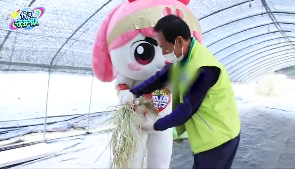 稻谷的华丽变身！粮食来之不易，节约粮食从我做起